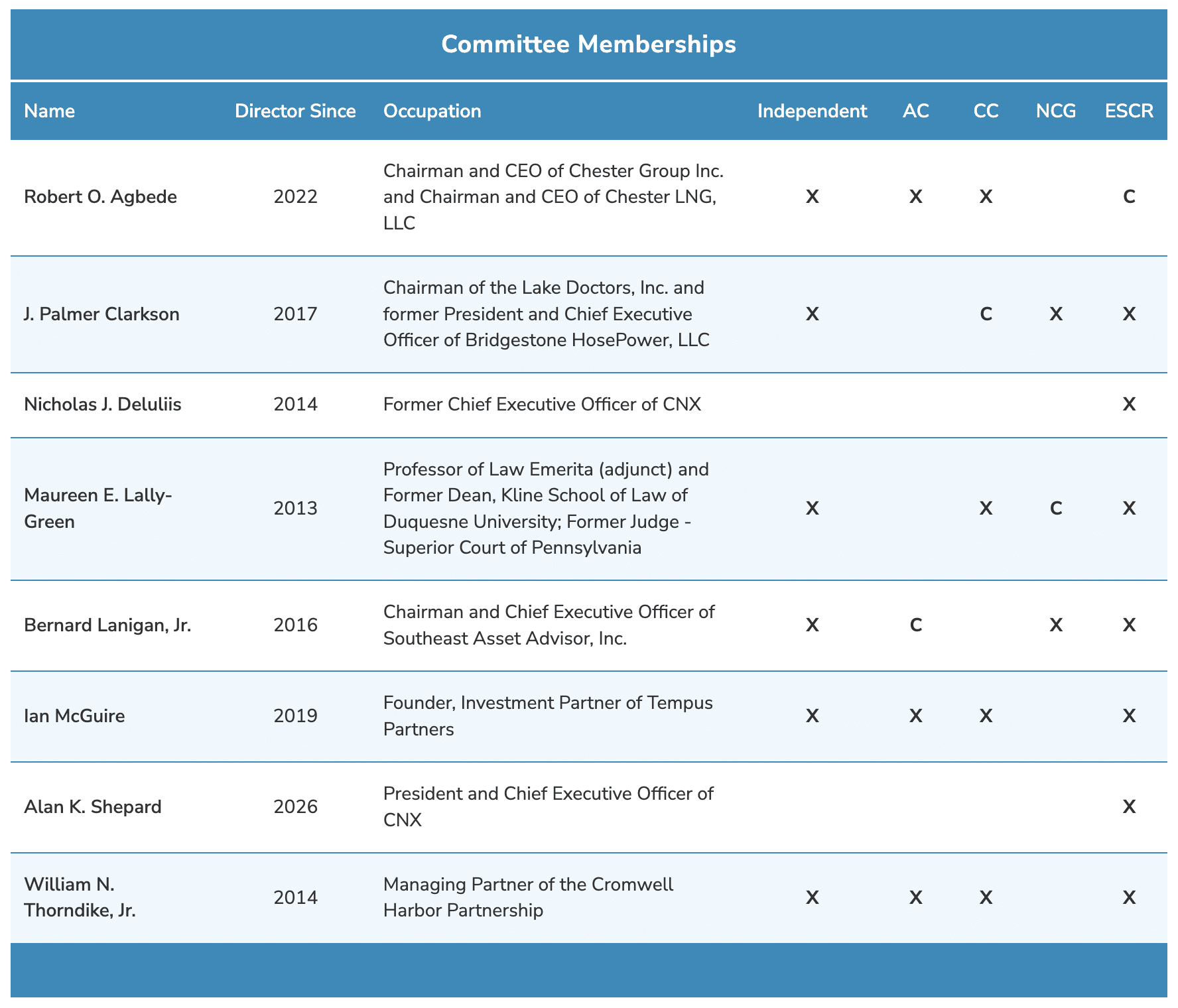 Committee Memberships for CNX